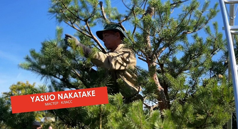 Мастер-класс Yasuo Nakatake